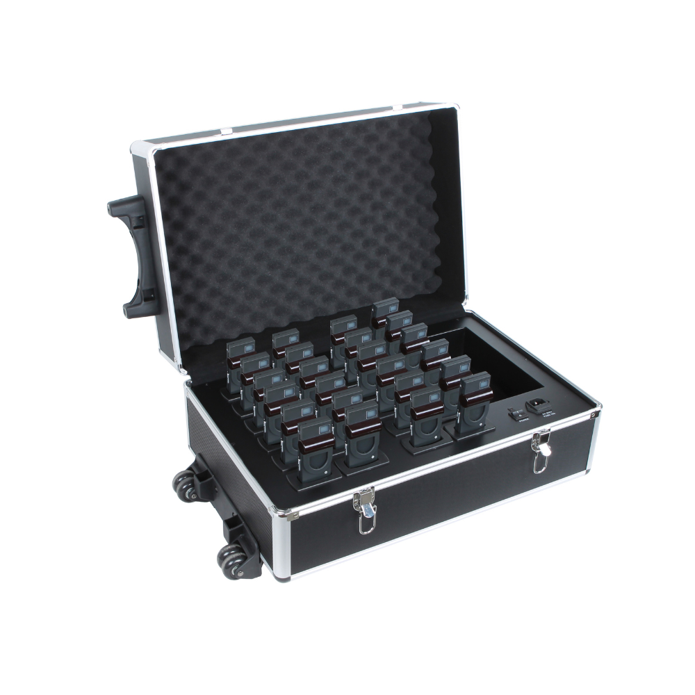 Digital IR Language Distribution System